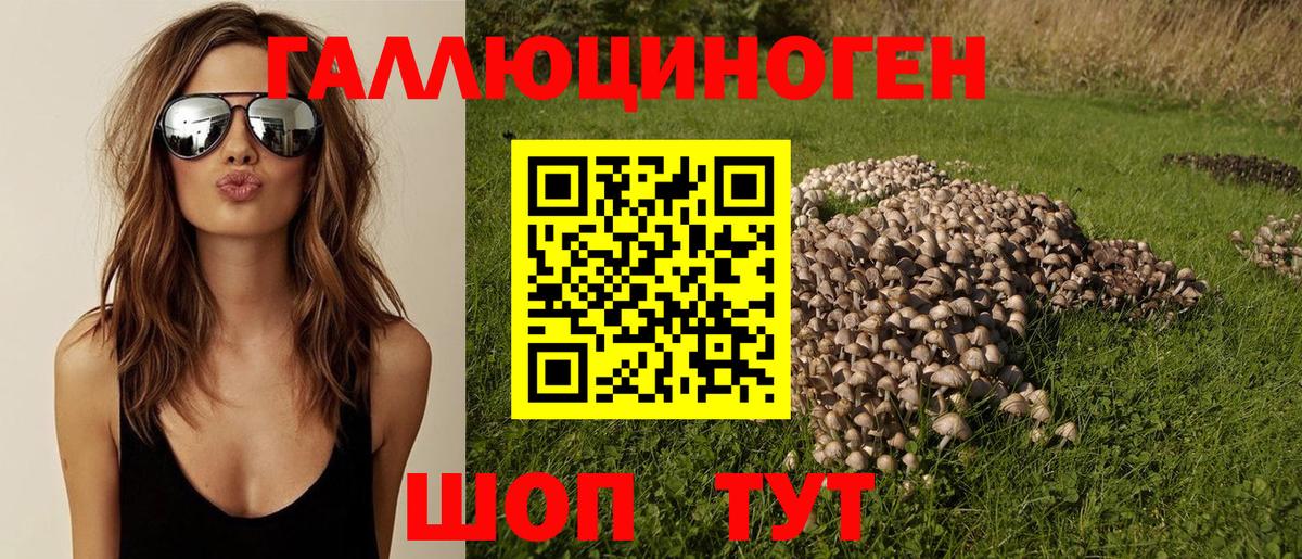 Галлюциногенные грибы Magic Shrooms  Вход с VPN  Новочебоксарск 